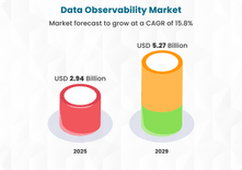 Data Observability Market